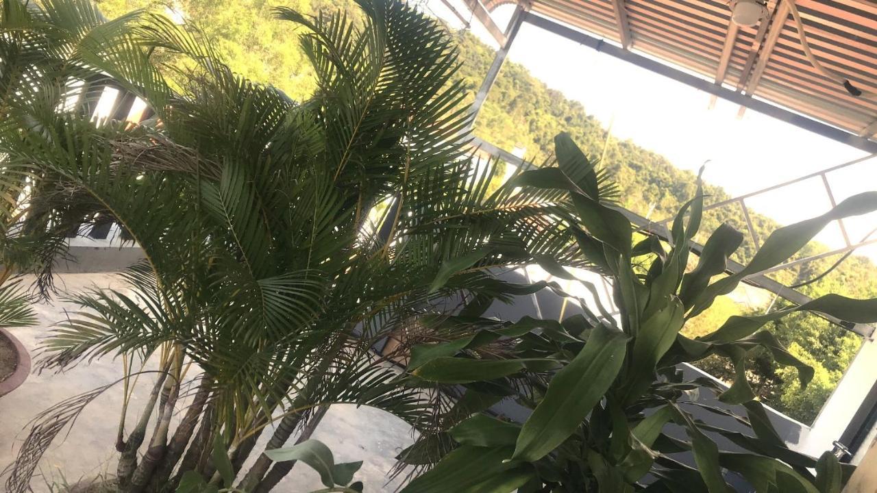 Dao Ngoc Home 두옹 동 외부 사진